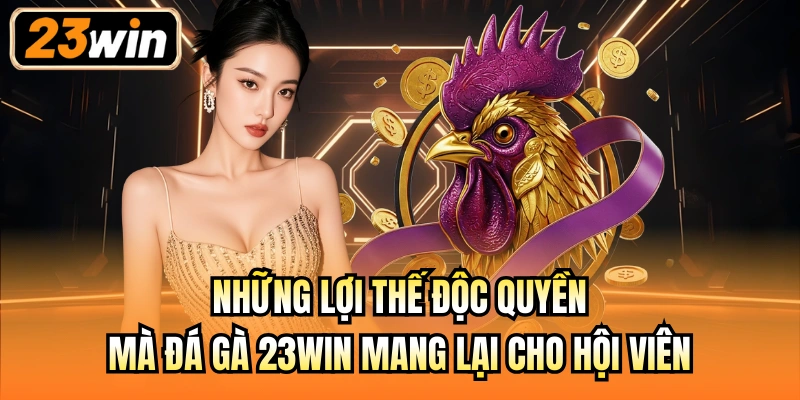 Những lợi thế độc quyền mà đá gà 23Win mang lại cho hội viên