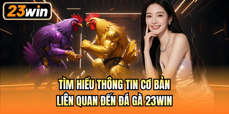 Tìm hiểu thông tin cơ bản liên quan đến đá gà 23Win
